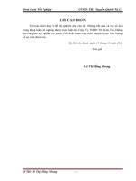 Kế toán doanh thu, chi phí và xác định kết quả kinh doanh tại Công ty TNHH thương mại Kim Tín