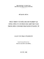 Phát triển văn hóa doanh nghiệp tại tổng công ty tài chính cổ phần dầu khí Việt Nam trong bối cảnh hội nhập kinh tế quốc tế