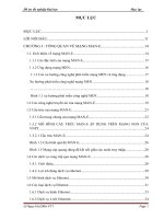 Đánh giá chất lượng mạng MANE sử dụng phương pháp mô phỏng