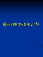 Bệnh việm gan siêu vi cấp doc