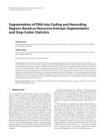 Báo cáo hóa học: 