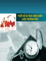 phân tích thiết kế và thực hiện chiến lược thương hiệu