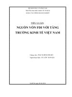 TIỂU LUẬN : NGUỒN VỐN FDI VỚI TĂNG TRƯỞNG KINH TẾ VIỆT NAM