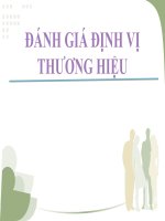đánh giá định vị thương hiệu