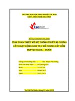 TÍNH TOÁN THIẾT KẾ HỆ THỐNG THIẾT BỊ CHƯNG CẤTHOẠT ĐỘNG LIÊN TỤC ĐỂ CHƯNG CẤT HỖN HỢPMETANOL – NƯỚC