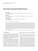 Báo cáo hóa học: 