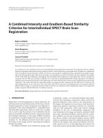 Báo cáo hóa học: 