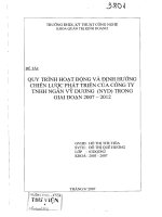 Quy trình hoạt động và định hướng chiến lược phát triển của công ty TNHH Ngân Vỹ Dương (NYD) trong giai đoạn 2007 2012