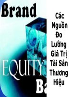 phương pháp xác định các nguồn đo lường giá trị tài sản thương hiệu