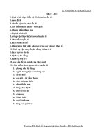 BÁO CÁO THỰC TẾ DI SẢN VĂN HÓA MIỀN TRUNG