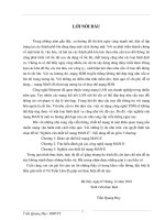 Nghiên cứu thiết kế mạng MAN - E