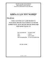 Nâng cao năng lực cạnh tranh của Ngân hàng thương mại cổ phần các doanh nghiệp ngoài quốc doanh VPBank trong hội nhập kinh tế quốc tế