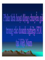 Phân tích hoạt động chuyển giá trong doanh nghiệp FDI tại việt nam