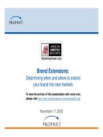 tài liệu tiếng anh brand extension