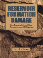 Reservoir Formation Damage