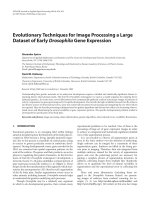 Báo cáo hóa học: 