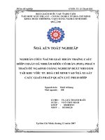 Nghiên cứu đánh giá hiện trạng các hợp chất ô nhiễm hữu cơ bền (POP) phát thải ở ngành công nghiệp dệt nhuộm tại khu vực thành phố Hồ Chí