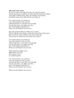 THE ONE YOU LOVE docx