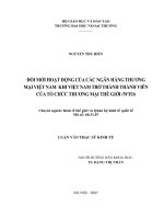 Đổi mới hoạt động của các ngân hàng thương mại việt nam khi việt nam trở thành thành viên của tổ chức thương mại thế giới (WTO)
