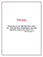 tiểu luận  tổng quan về thi trường tiền tệ - thị trường eurodolalar ( thị trường tiền gửi, cho vay )