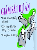 Bài giảng giám sát dự án (monitoring)