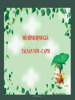 MÔ HÌNH ĐỊNH GIÁ TÀI SẢN VỐN  CAPM