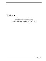 TẬP hợp CHI PHÍ sản XUẤT và TÍNH GIÁ THÀNH sản PHẨM tại CÔNG TY dược đà NẴNG