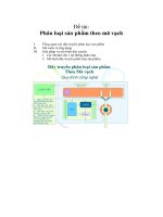 Đề tài phân loại sản phẩm