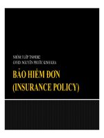 tiểu luận  bảo hiểm đơn