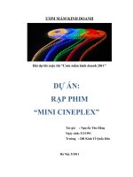 dự án rạp chiếu phim mini