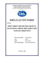 Phát triển thị trường dịch vụ ngân hàng trong điều kiện việt nam gia nhập WTO