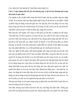 câu hỏi ôn tập KT thương mại dịch vụ cao học