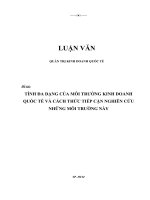 Luận văn đề tài tính đa dạng của môi trường kinh doanh quốc tế và cách thức tiếp cận nghiên cứu