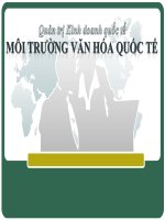 Phân tích môi trường văn hóa quốc tế