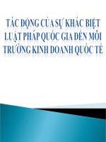Phân tích tác động của sự khác biệt luật pháp quốc gia đến môi trường kinh doanh quốc tế