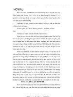 Đồ án thiết kế nhà máy bia 10 triệu lítnăm