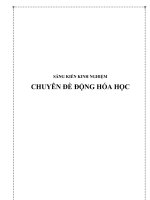 Chuyên đề động hóa học