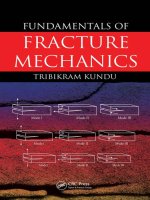 Fundamentals of Fracture Mechanics
