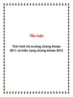 tiểu luận  tình hình thị trường chứng khoán 2011 và triển vọng chứng khoán 2012