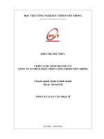 CHIẾN LƯỢC KINH DOANH CỦA CÔNG TY CỔ PHẦN PHÁT TRIỂN CÔNG TRÌNH VIỄN THÔNG