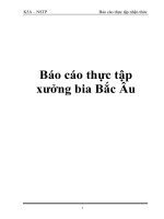 báo cáo thực tập xưởng bia bắc âu