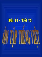 Bài giảng ôn tập tiếng việt