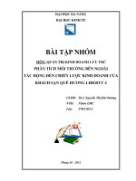 bài tập nhóm phân tích môi trường bên ngoài tác động đến chiến lược kinh doanh của khách sạn quê hương liberty 4