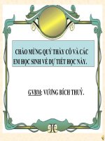 Đoàn thuyền đánh cá