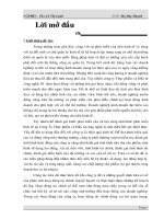 Luận văn Phân tích tài chính công ty Z