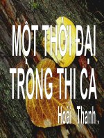 Một thời đại trong thi ca