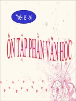 Ôn tập văn học lớp 12