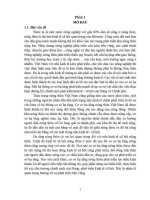 Đánh giá hiện trạng và xây dựng phương án quy hoạch cơ sở hạ tầng nông thôn mới xã vĩnh quang, thị xã cao bằng