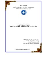 bài tập cá nhân môn quản trị marketing nâng cao
