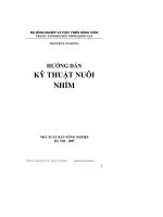 Kỹ thuật nuôi nhím thành công